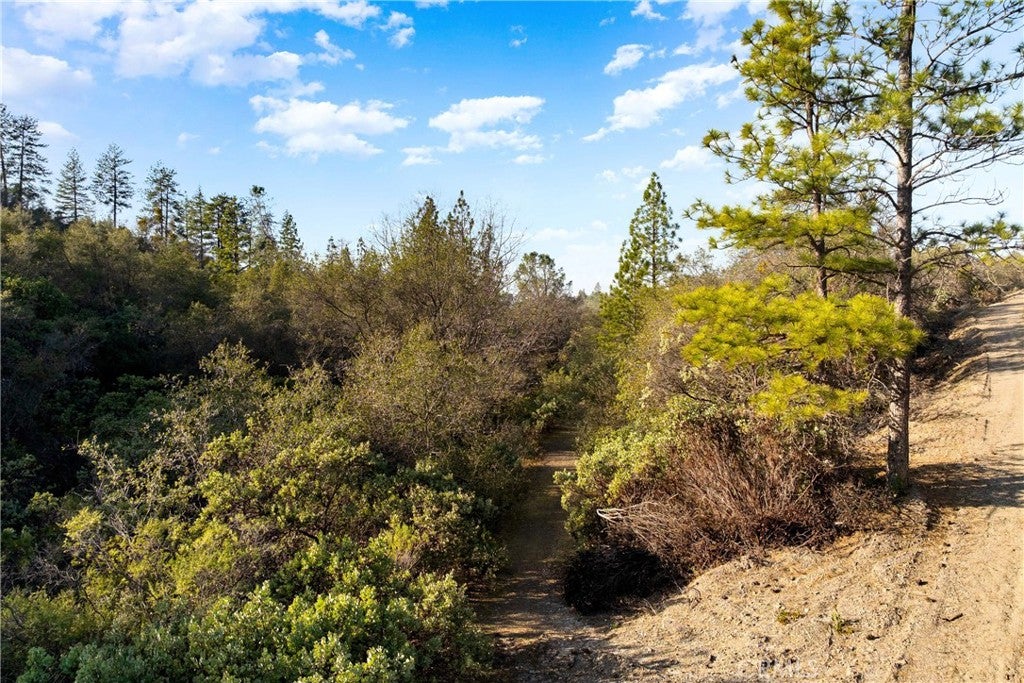 1 Ridgeview Circle