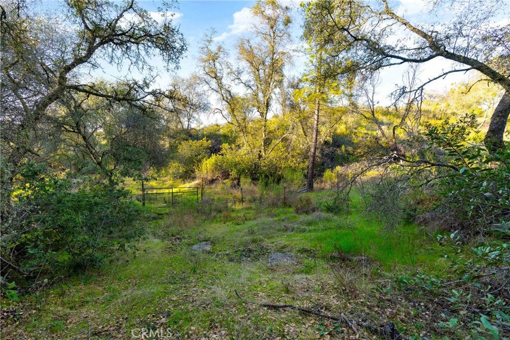 1 Ridgeview Circle