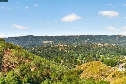 Photo of 554 Oakshire Pl, Alamo, CA 94507 (MLS # 41135919)