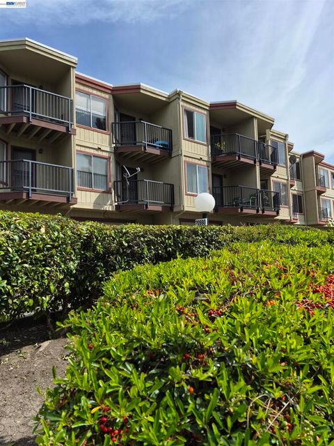 Photo of 20980 BIRCH St #C, Hayward, CA 94541 (MLS # 41131604)