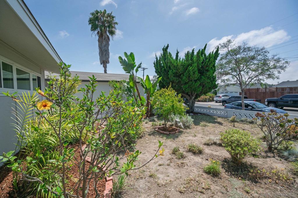 2025 Whinchat Street