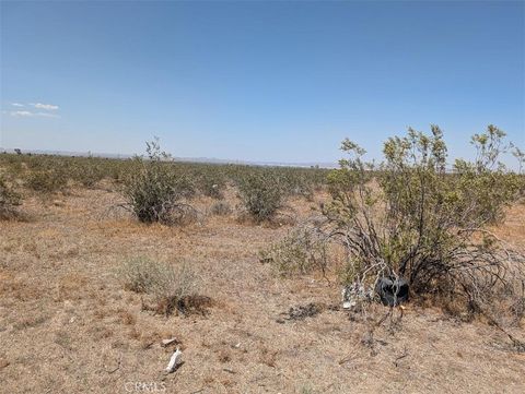 Photo of 6 Dos Palmas, Pinon Hills, CA 92372 (MLS # IV26112660)