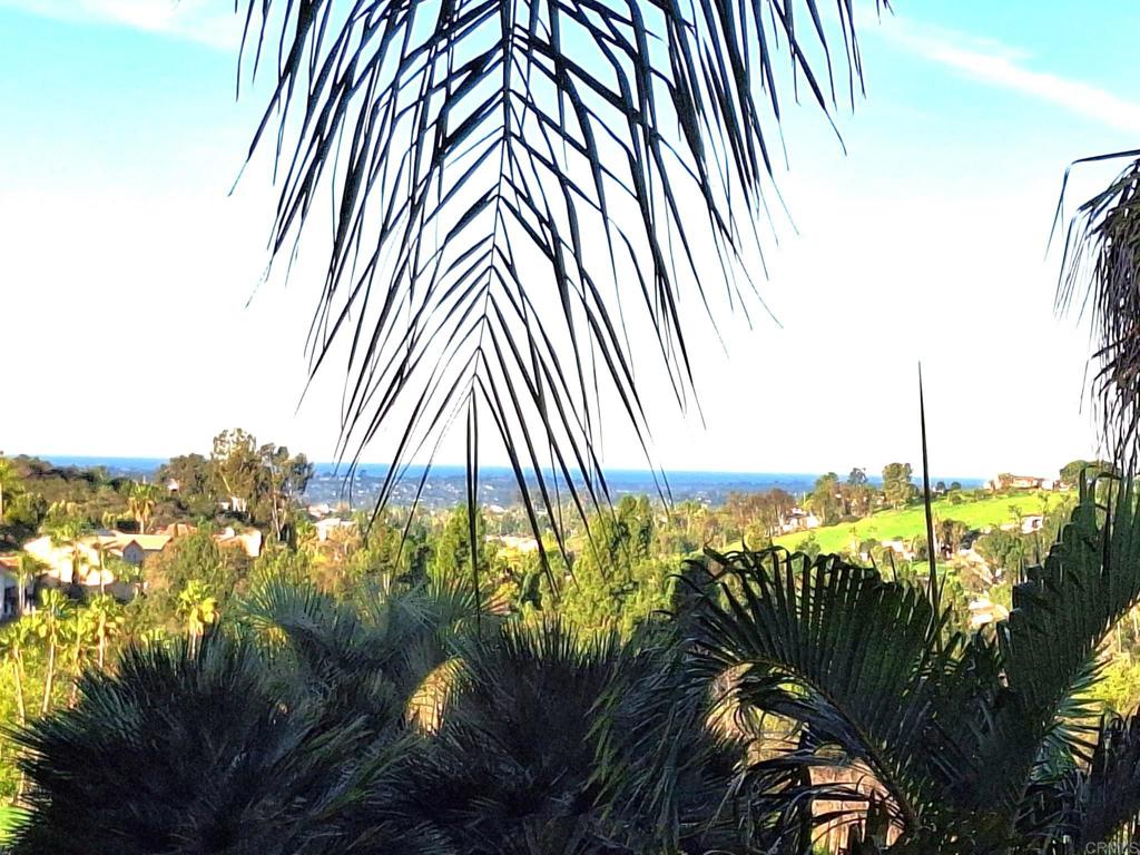 3630 Blue Bird Canyon Road
