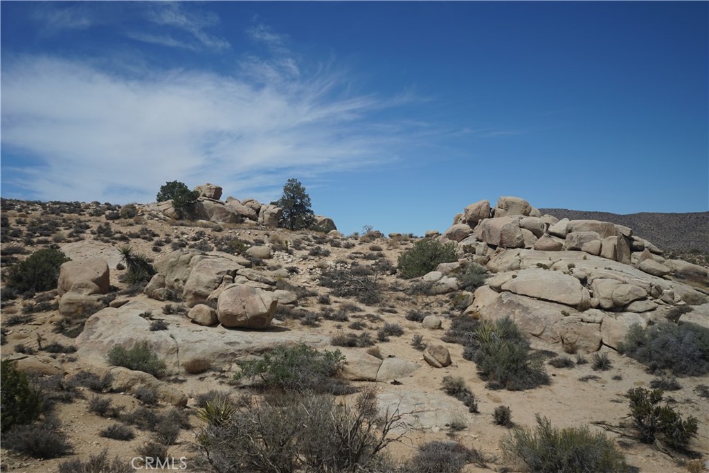 52588 Blackbrush Road