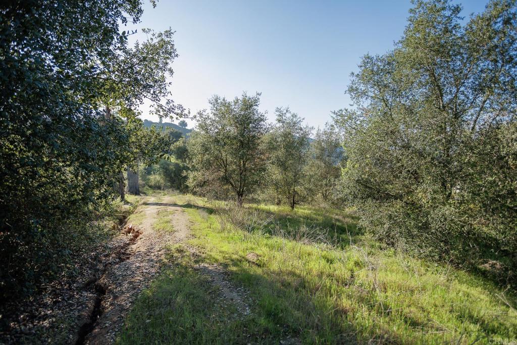 Build your Dream Home overlooking the stunning views of Pauma Valley. Enjoy the quiet and serene rural country side of Valley Center, bring your horses and build raised garden beds, raise chickens even add an ADU and JR ADU in the years to come. You wont want to miss this location.