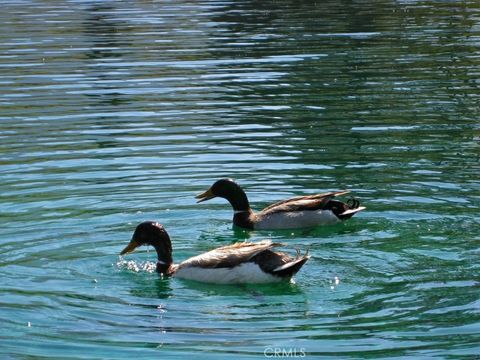 Tiny photo for 2041 Symonds Dr, Pine Mountain Club, CA 93222 (MLS # SR26047249)