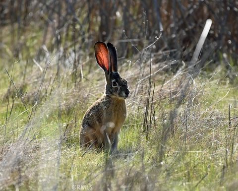 Tiny photo for 2041 Symonds Dr, Pine Mountain Club, CA 93222 (MLS # SR26047249)