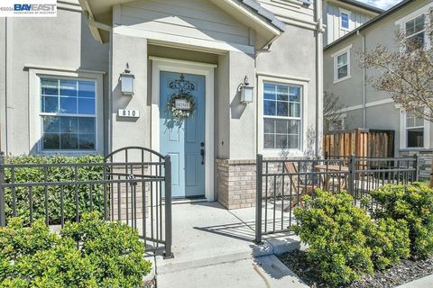 Photo of 810 Queen Palm Ln, Brentwood, CA 94513 (MLS # 41127162)