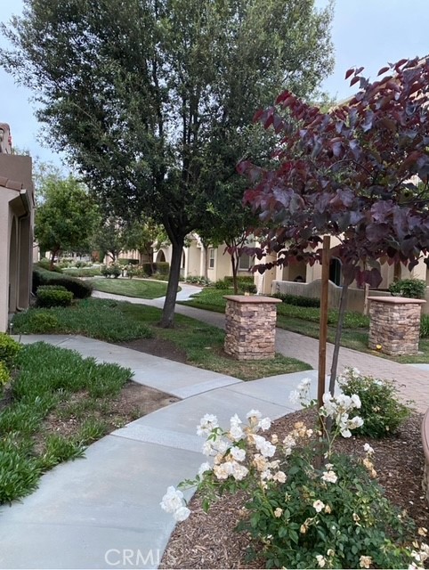 31155 Mountain Lilac Way