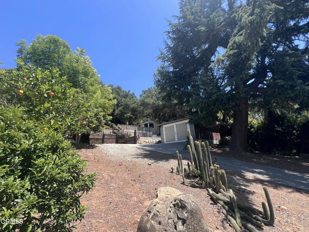 1738 Orchard Drive
