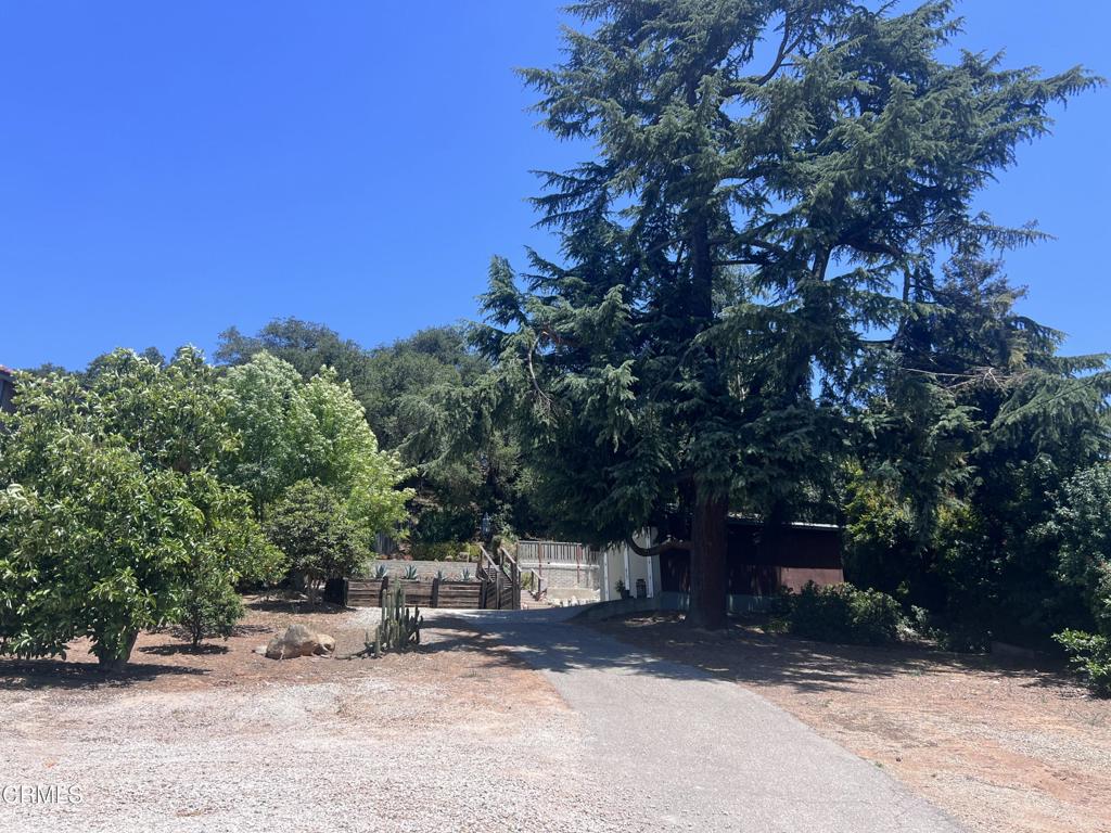 1738 Orchard Drive
