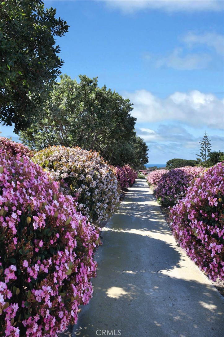 Gardens (Ocean side of PCH) (NSO) - Residential