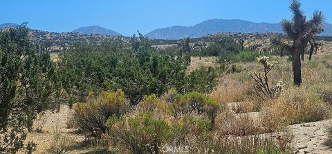 Photo of 0 Avenue X / 136th St E, Pearblossom, CA 93553 (MLS # SR23164424)