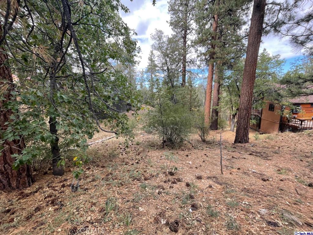 600 Travertine Road