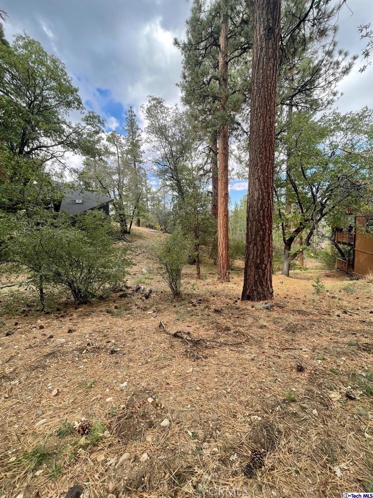 Not Applicable-105 - Land