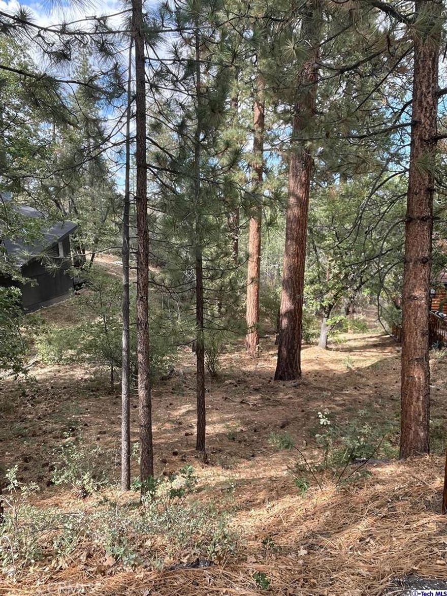 Looking for the perfect lot in the Moonridge Mountain Estates to build? This buildable lot backs up to the National Forest with a seasonal stream. A topographical survey and a Geo-technical / Soil Study (60 page Report) were conducted and are ready to be submitted to your architect or civil engineer. Power, Sewer, Natural Gas and Water have all been verified as available. Complete privacy while only minutes from everything Big Bear has to offer.