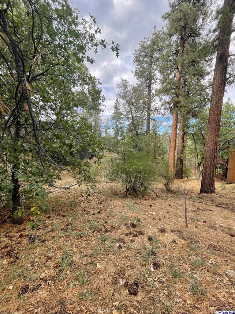 Not Applicable-105 - Land