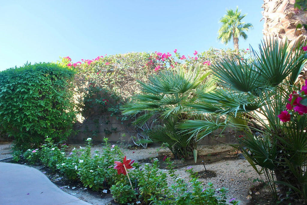 Indian Springs - Residential Lease