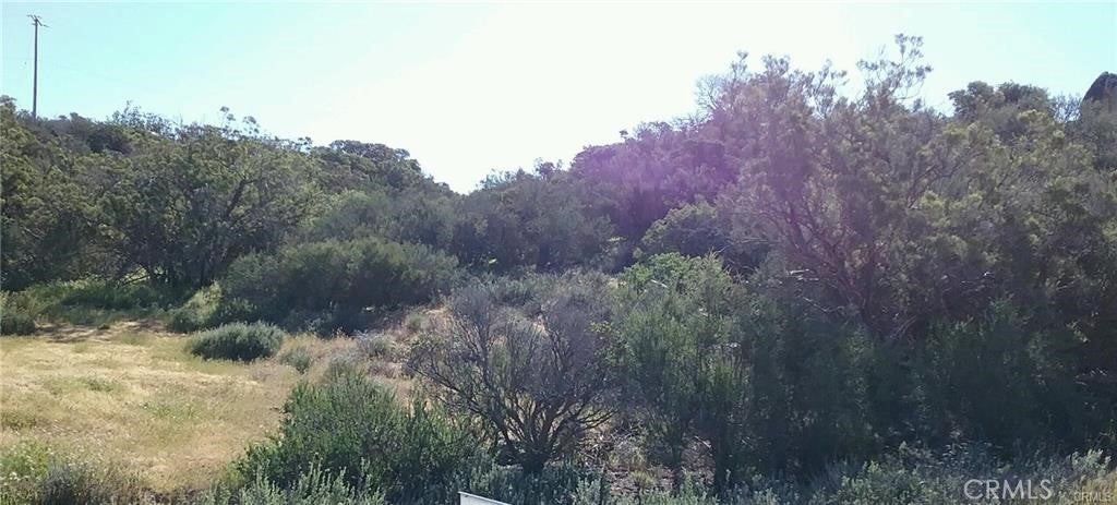 0 Lake Canyon Drive