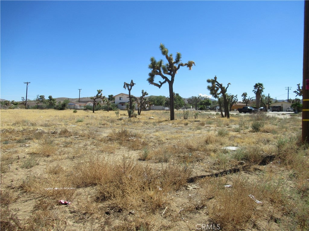 7349 Joshua Lane