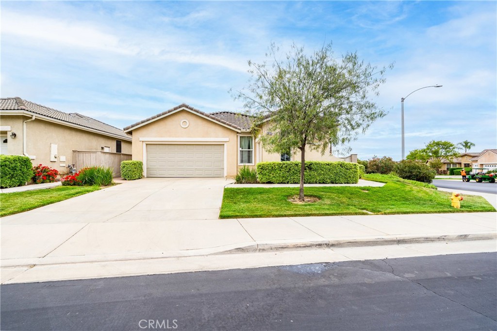 28713 Raintree
