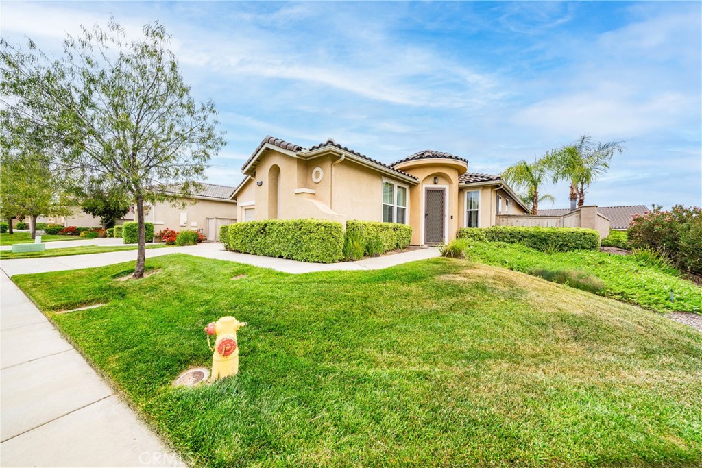 28713 Raintree