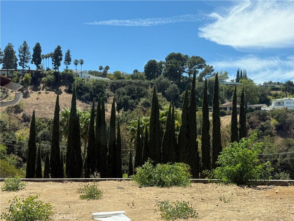 11428 Dona Pegita Drive