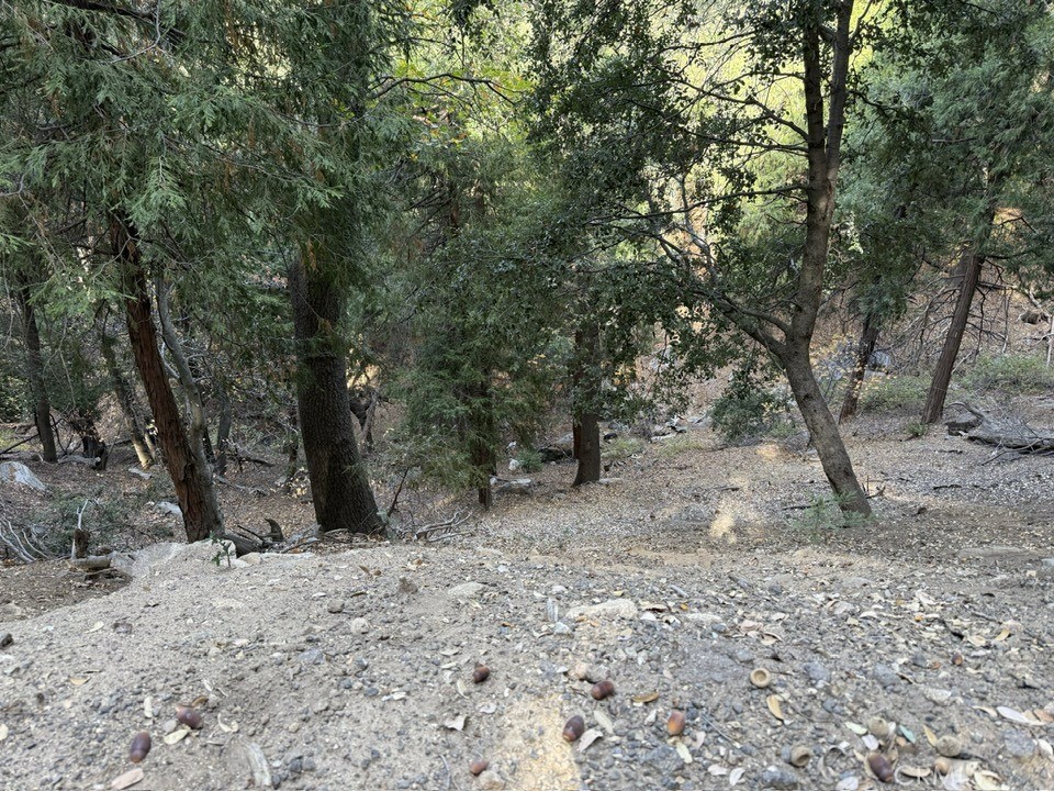 0 Mojave River Road