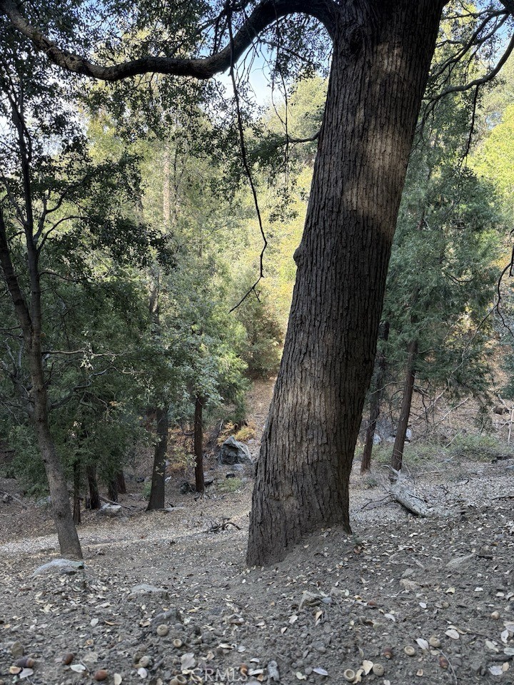 0 Mojave River Road