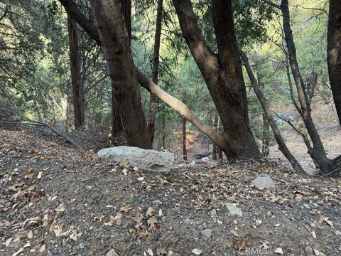 Photo of 0 Mojave River Road, Cedarpines Park, CA 92322 (MLS # HD25031797)