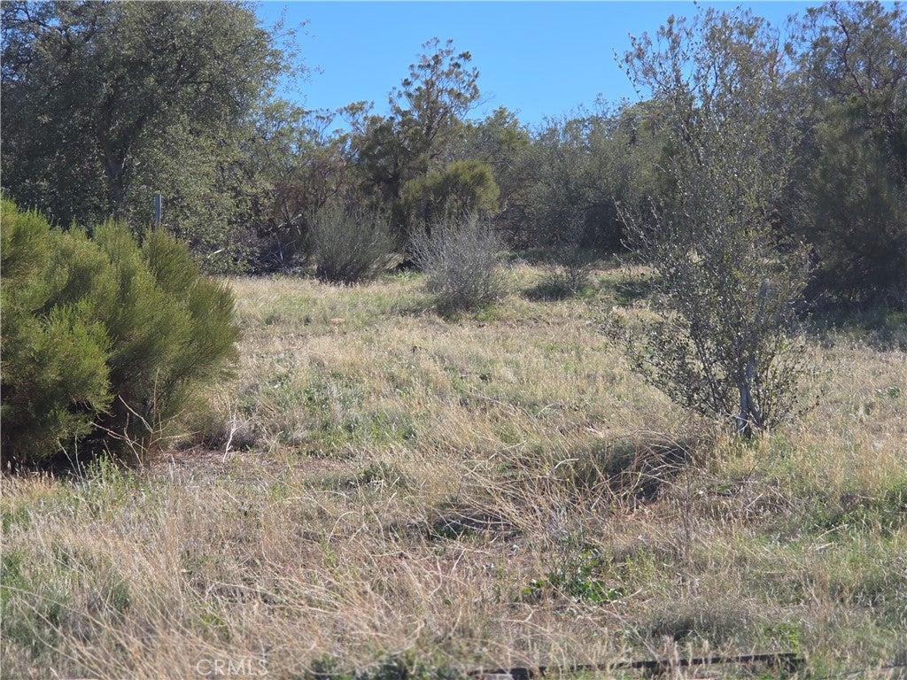 0 Taron Trail