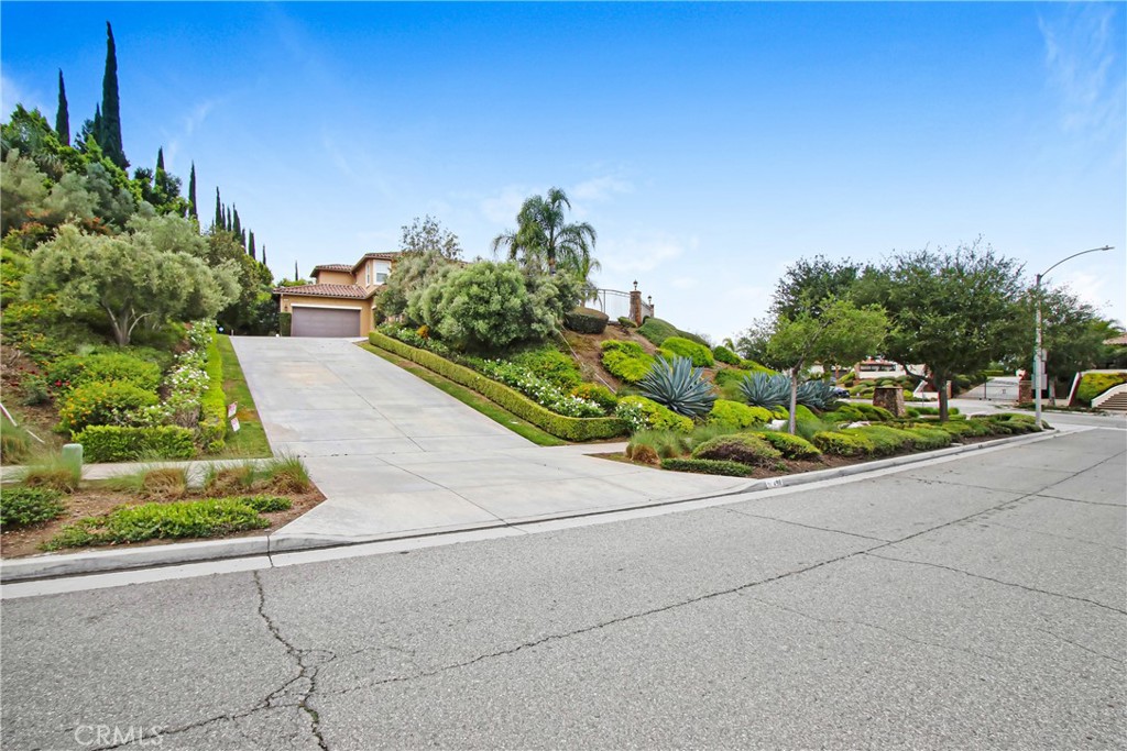 498 Green Orchard
