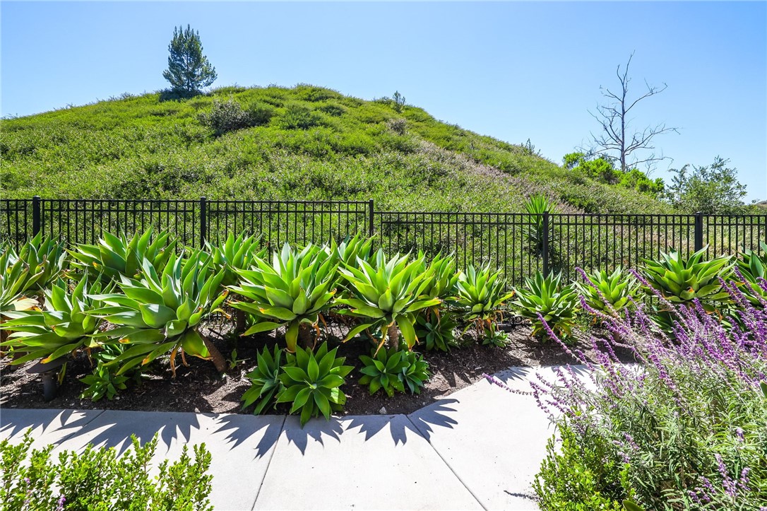 11 Lucente Lane, Aliso Viejo CA 92656 - Photo 23