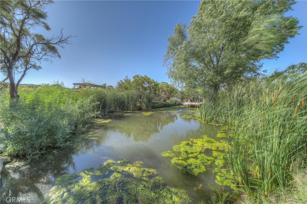 Do you want to squish grapes between your toes? This property offers 3.43 acres of privacy nestled in Anza. Imagine waking up to see wild ducks floating on your own private pond stocked with catfish and trout. Can you see yourself walking through rows of the thriving grapevines that grow on the property providing an exceptional opportunity for wine makers and connoisseurs alike. The 200 established grapevines consist of Cabernet Sauvignon, Cabernet Franc, Merlot, and Zinfandel. Multiple areas have been carved out amongst the Red Shank trees providing privacy for parking your camping trailer, toy hauler, boat for making this your weekend retreat. Or build your own house and enjoy the beauty that this property has to offer on a daily basis. There is room to have goats, ducks, horses or other livestock if farm life if what you are looking for. The property includes an agricultural well, electricity, high speed internet, 2500 gallon water storage tank, storage shed, workshop area, raised garden beds, and is easy to access as it is just off the paved road.
This little piece of heaven is located close to the Temecula, Palm Desert, and Hemet so city life is close by. Book an appointment to see all that this property can offer.