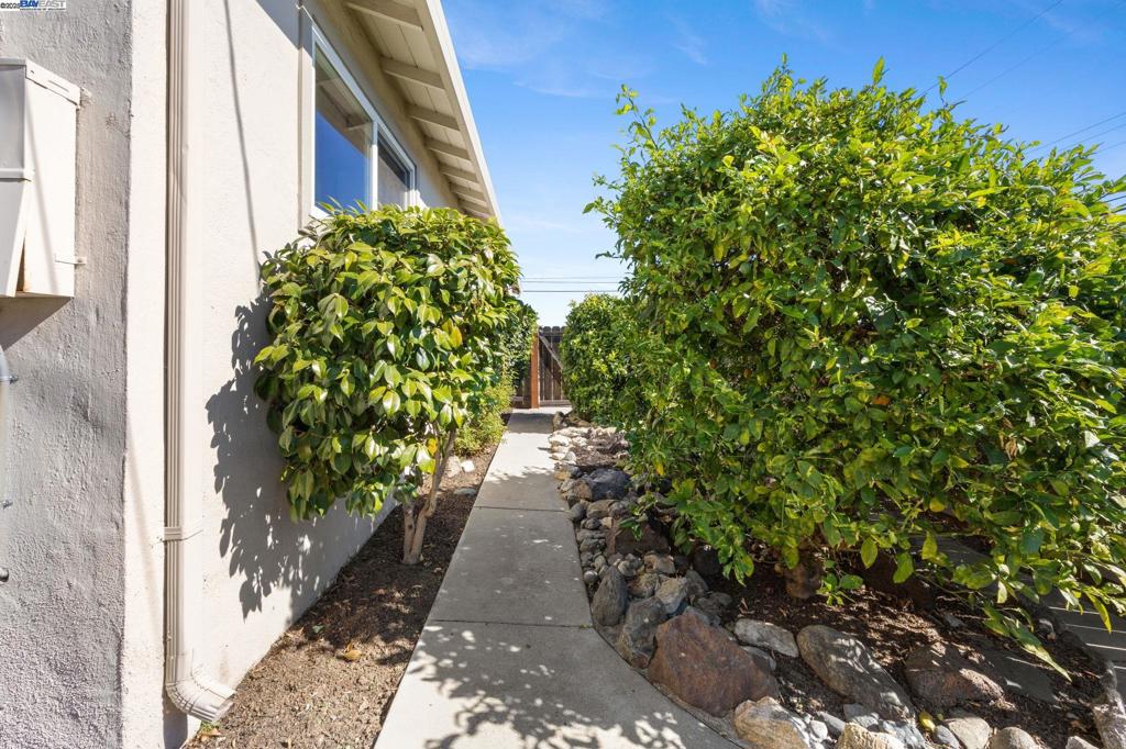 CASTRO VALLEY - Residential