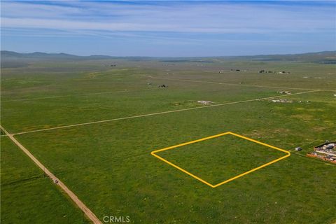 Tiny photo for 0 Bellflower Road, Santa Margarita, CA 93453 (MLS # NS26029507)