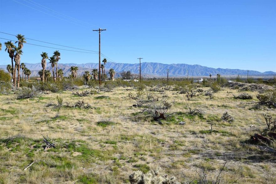 Discover the perfect opportunity to build your dream home in beautiful Borrego Springs. This property offers unparalleled access to nature and adventure. Explore the endless hiking trails, off roading in nearby Ocotillo Wells, and marvel at the night sky in this designated International Dark Sky Community, where stargazing is a nightly spectacle. Borrego Springs is located in northeast San Diego County.