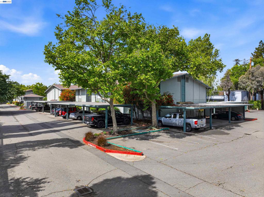 1036 Oak Grove Rd 81