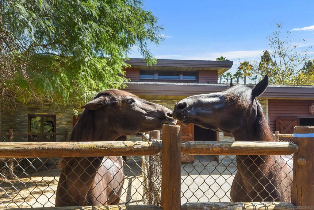 Rancho Santa Fe - Residential