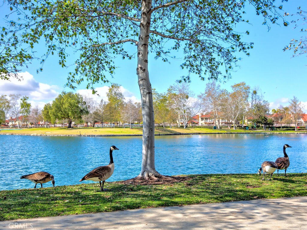 Paragon (PAR) - Residential