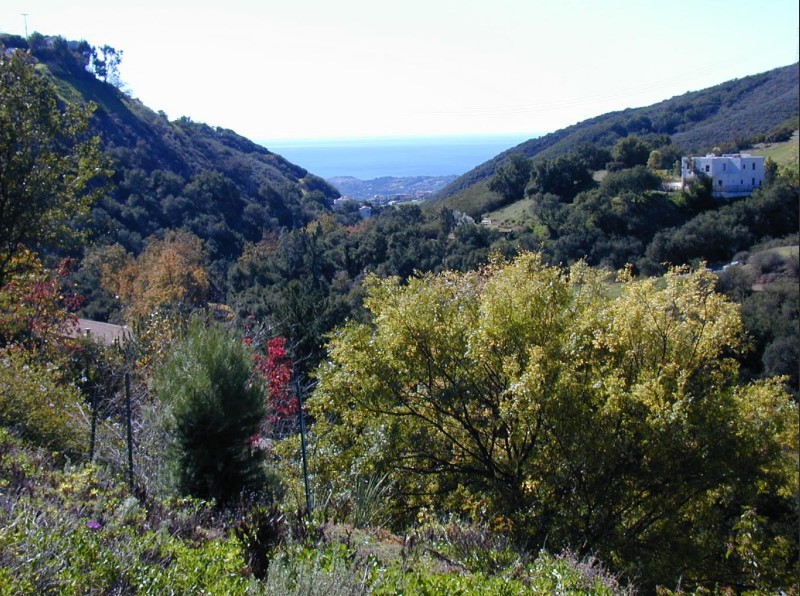 Perched above the iconic Latigo Canyon and nestled within one of Malibu’s most serene enclaves, this rare .77-acre offering presents a dream canvas for a visionary estate. Comprising four legally-merged parcels, this expansive lot combines unmatched privacy with sweeping canyon-to-ocean vistas that stretch beyond the horizon. Surrounded by nature, yet minutes from the heart of Malibu, this opportunity blends tranquility and potential in one of the most prestigious coastal zip codes in the world.
Tucked behind a quiet bend and bordered by open space, the lot enjoys exceptional seclusion with a natural hillside backdrop and breathtaking views shared by neighboring multi-million dollar homes. A nearby fire hydrant and water reservoir offer essential infrastructure, while a wave of new construction nearby signals strong upward momentum for this burgeoning luxury pocket.
Located within unincorporated Los Angeles County and governed by the LA County Department of Regional Planning (DRP), this parcel offers development flexibility not always found within Malibu’s city limits. Previously approved plans (1993) are included, offering a glimpse of what’s possible.
With luxury homes rising all around and comparable views commanding premium prices, this property represents a once-in-a-generation opportunity to create a signature residence in Malibu.