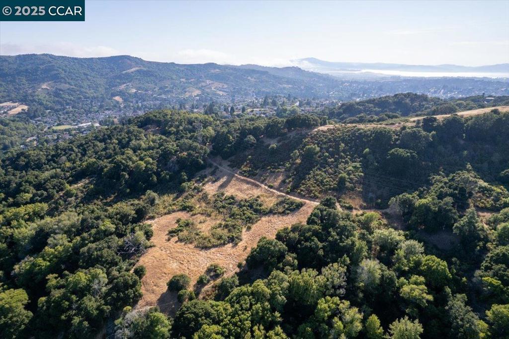 CARRIAGE HILLS - Residential