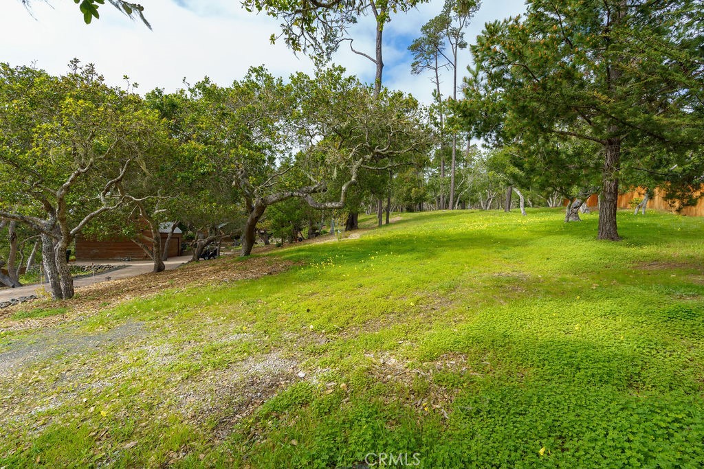 Pine Knolls Estates(470) - Residential