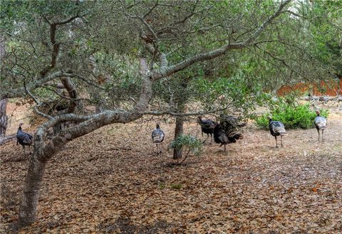 Tiny photo for 1021 Hillcrest Dr, Cambria, CA 93428 (MLS # SC25239952)