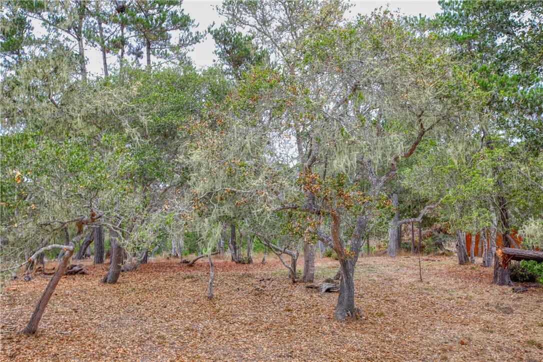 Pine Knolls Estates(470) - Residential