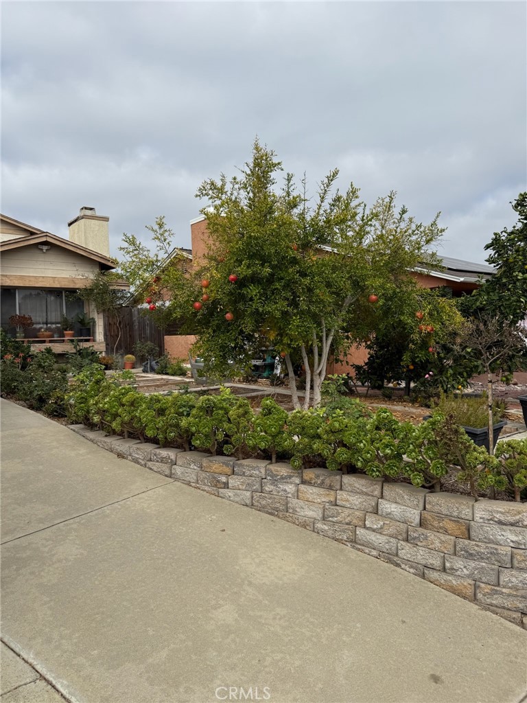 Mira Mesa - Residential
