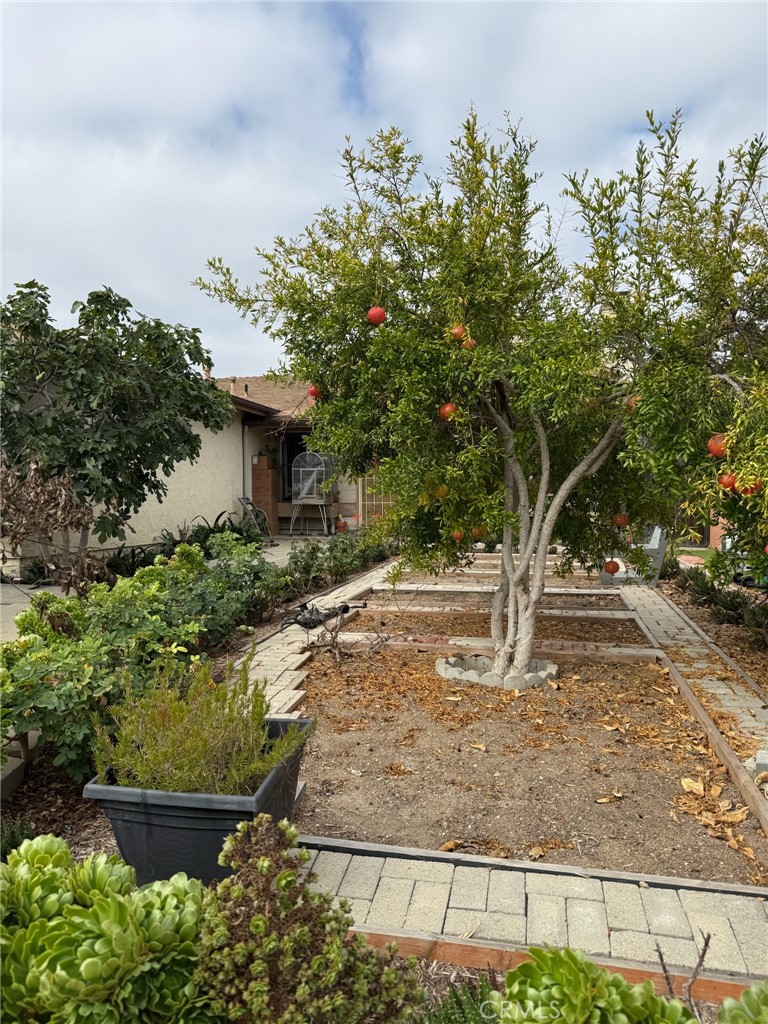 Mira Mesa - Residential