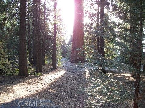 54584 Ponderosa Drive