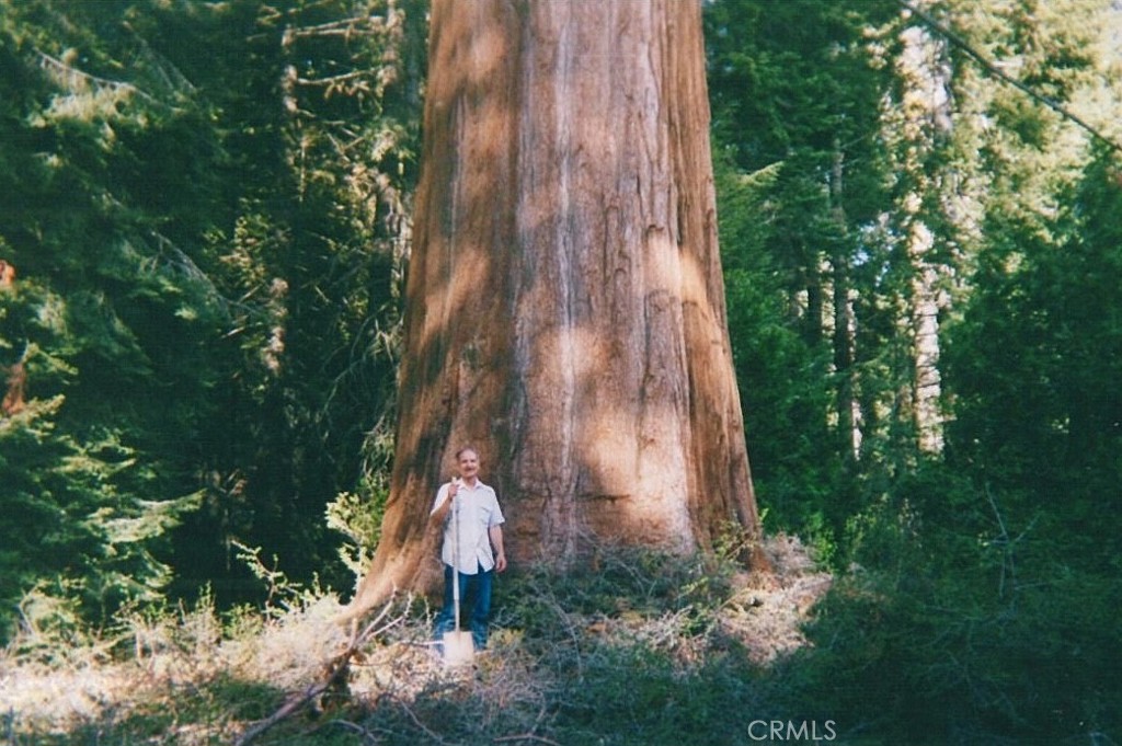 54584 Ponderosa Drive