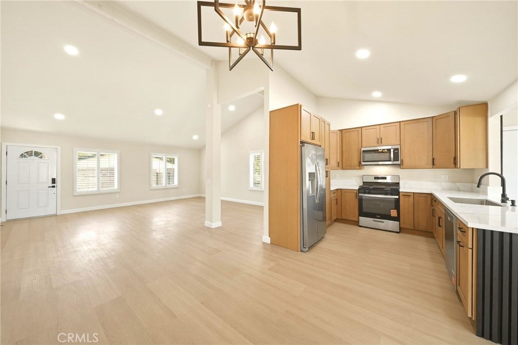 3073 Joshua Tree